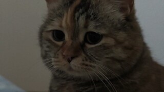ฉันหิวตอนตีห้า
