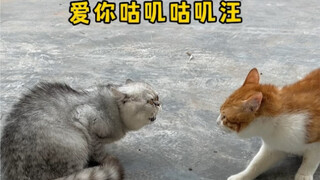 爱你咕叽咕叽汪