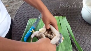 Tagutungan or porcupine fish|mukbang Philippines