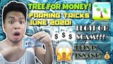 TREE FOR MONEY FARMING TRICKS! | GROW YOUR TREE & EARN FREE PAYPAL MONEY ONLINE! | Marky Vlogs