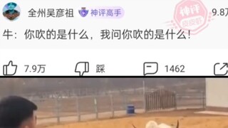 Niu: What are you blowing? I'm asking you, what are you blowing!