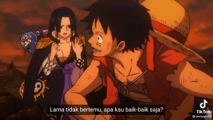 jika sudah memiliki perempuan seperti Hancock. maka jangan jadi lufy🙏😔😭