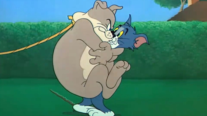 ใครจะปฏิเสธซีรีส์เกี่ยวกับแมวได้ล่ะ?