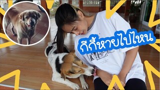 โลกของแสนดี ตอน กีกี้หายไปไหน?