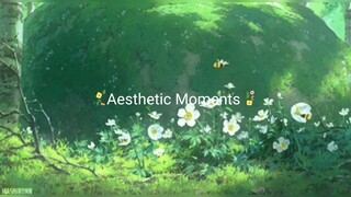 Aesthetic Moments Anime