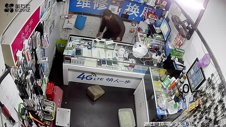 Lion Cat Meets on the Road