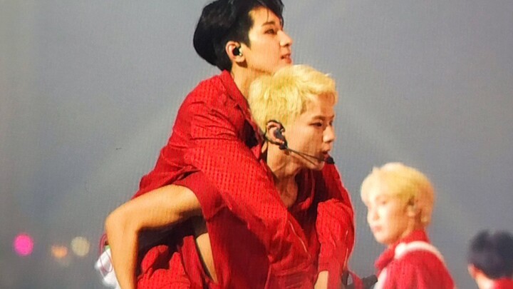 หนูจู้มี่ถูกเจ้าเสือตัวน้อยแบกไปแล้ว!