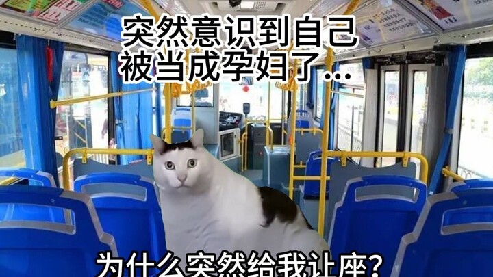 【Meme kucing】Tentang saya diperlakukan seperti wanita hamil saat naik bus