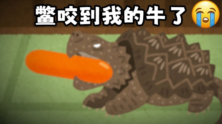 السلحفاة عضت بقرتي!!