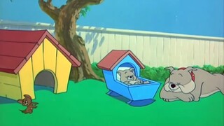 Tom and Jerry | Painting Puppy gone wrong