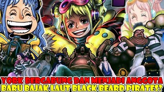 YORK BERGABUNG DAN MENJADI ANGGOTA BARU BAJAK LAUT BLACK BEARD❓❓ Kru Bajak Blackbeard Tambah Lagi❓❓