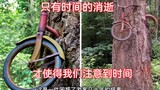 只有时间的消逝，才使得我们注意到时间，世间万物无一不惧怕时间