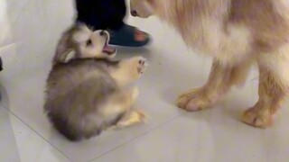 Baby, I haven't done anything to you yet.