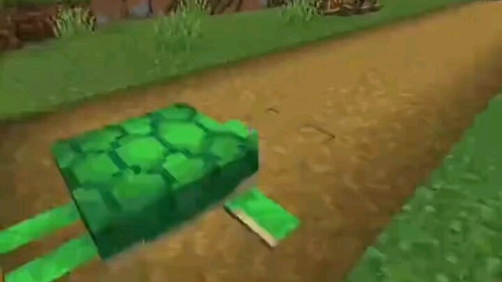 The New Tortoise and the Hare Race