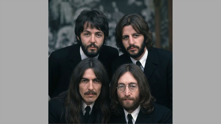 ® Beetles - “Morning light"