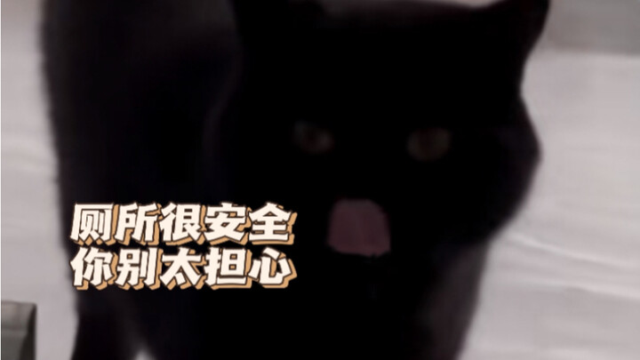 Seperti apa rasanya punya teman toilet yang super berdedikasi?