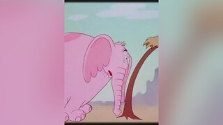 reviewphim phimhay24h PhimHayMoiNgay