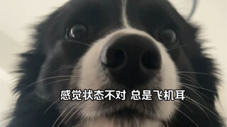 未婚未育却无痛当妈了