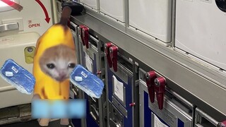 It is well known that airplane ovens are seasoned