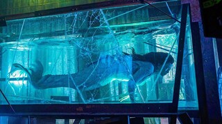 Man Found an Injured Mermaid on The Beach And Decided to Bring Her Home