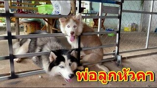 เรื่องวุ่นๆของวัยรุ่นหน้าปึก