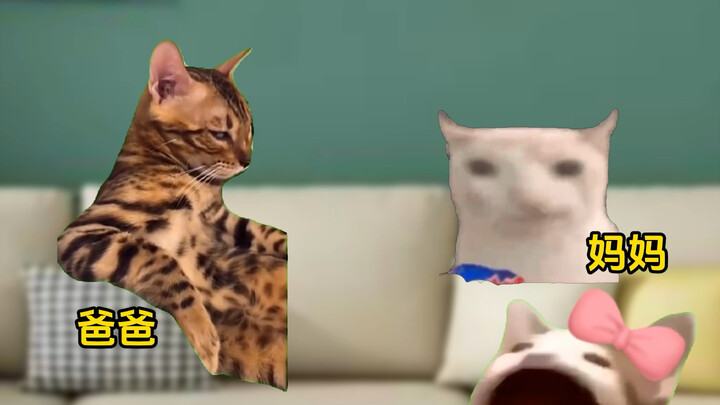 The witty moments of modern children #CatmemeLittle Theater #Realistic restoration #Funny #Child sis