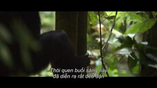 Vũ trụ EP 2 [Sub Việt]