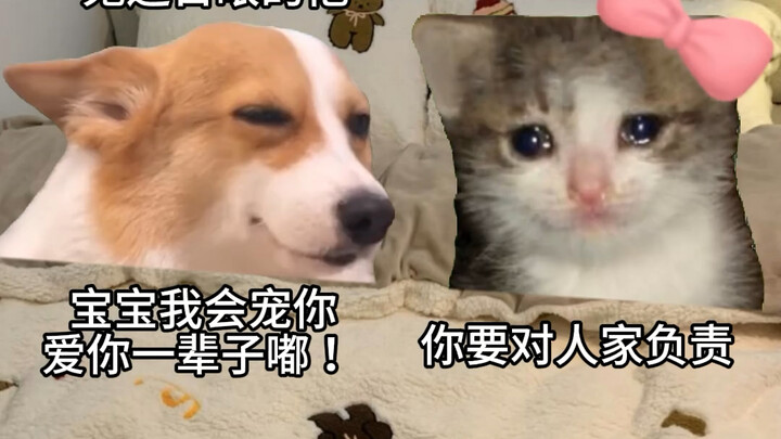 ประวัติการพัฒนาของแฟนสาว