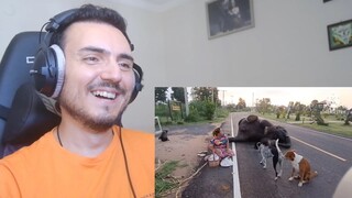 เป็นประเด็น|อีกแล้ว..ทุเรียนเป็นเหตุสังเกตได้.. Reaction