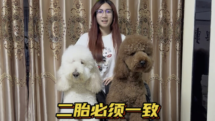 พอมีลูกคนที่สองปุ๊บ ก็ทำให้คุณรู้ทันทีว่าคำว่า “เฉลี่ย” นั้นหมายถึงอะไร…