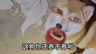 "Chó khỏe"