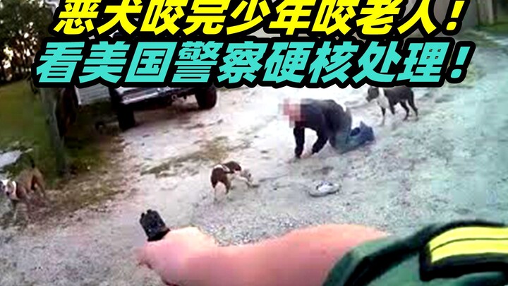Pria Amerika jalan-jalan dengan anjing tanpa tali! Anjing pitbull ganas mengamuk dan menerkam seoran