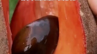 Chữa lành và cứu chuộc thông qua đoàn tụ | Kẻ bắt nạt học đường bị cắn bởi đồ ăn cay trong buổi họp 