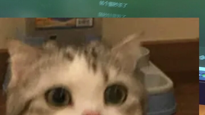 ฉันจับปลาหน่อย