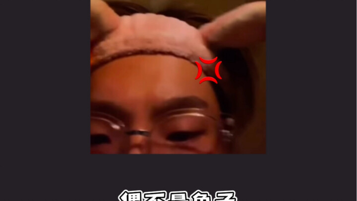 Thôi đừng nói nữa!!! Thỏ mà tức quá cũng cắn người đấy!!!