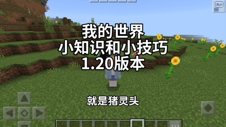 [Minecraft] Fakta dan Tip Kecil dari Versi Baru NetEase
