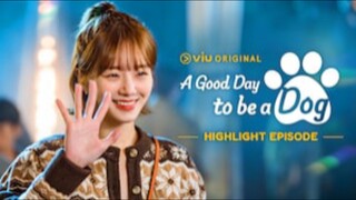 A GOOD DAY TO BE A DOG (TAGALOG DUBBED) EP 3