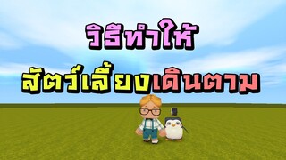 Mini World:CREATA สอนทริกเกอร์ - วิธีทำให้สัตว์เลี้ยงเดินตาม