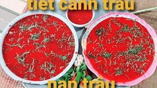 ĂN THỊT TRÂU SỐNG.hai đĩa tiết canh trâu siêu to.ngon tuyệt vời. Biển Nguyễn ngọc