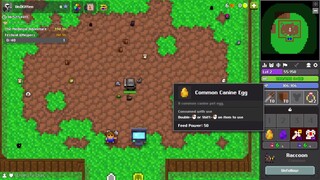 Common Canine Egg-Golden Pup
