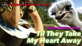 Til They Take My Heart Away Claire Marlo Kyla Instrumental guitar karaoke cover with lyrics