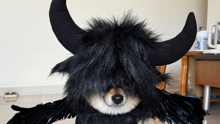 黑色系穿搭合集，你喜欢的样子我都有