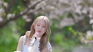 Kpop女爱豆绝美演唱，各位更喜欢哪一个呢