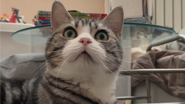 咱也不知道他这是嫌弃还是害羞