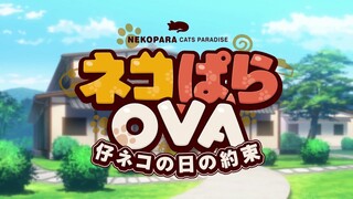 Nekopara Extra OAV (VOSTFR) [1080p]