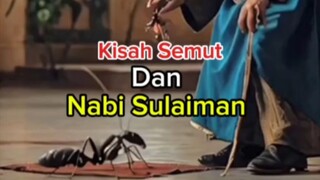 Kisah semut dan nabi Sulaiman