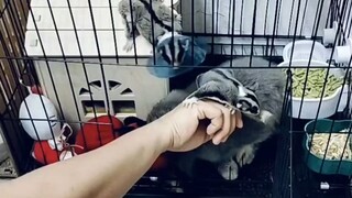 น่ารักๆ พามาผ่อนคลาย🥰🥰🥰🐿️🐿️🐿️ วันที่26 กุมภาพันธ์ 2568 กรุงเทพฯ
