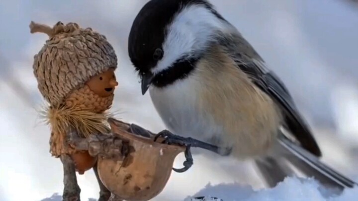 “有趣的事情第一个分享给你”