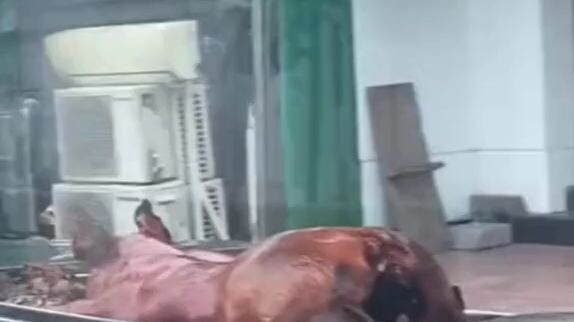 Otw to birth-dihan😆