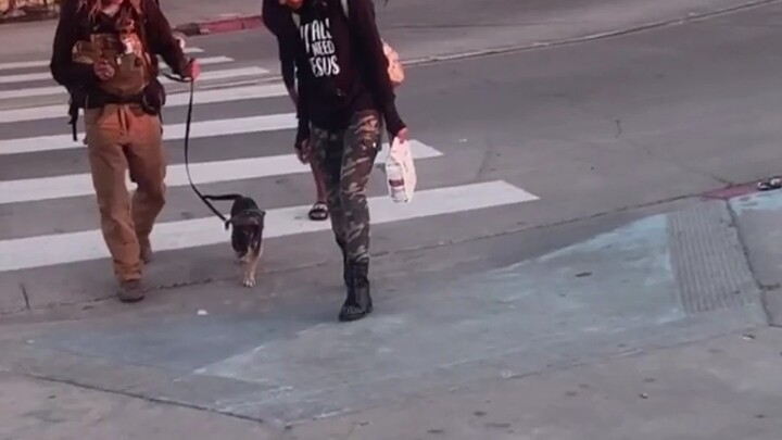 متى تصبح عراب الشارع هذا، سآتي حتمًا لاسترداد المال الذي تدين لي به.